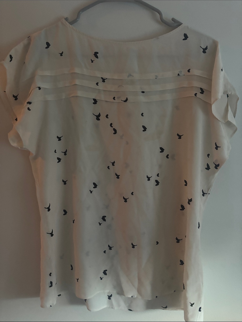 Twelfth Street by Cynthia Vincent Cream Blouse with Black Bird Print